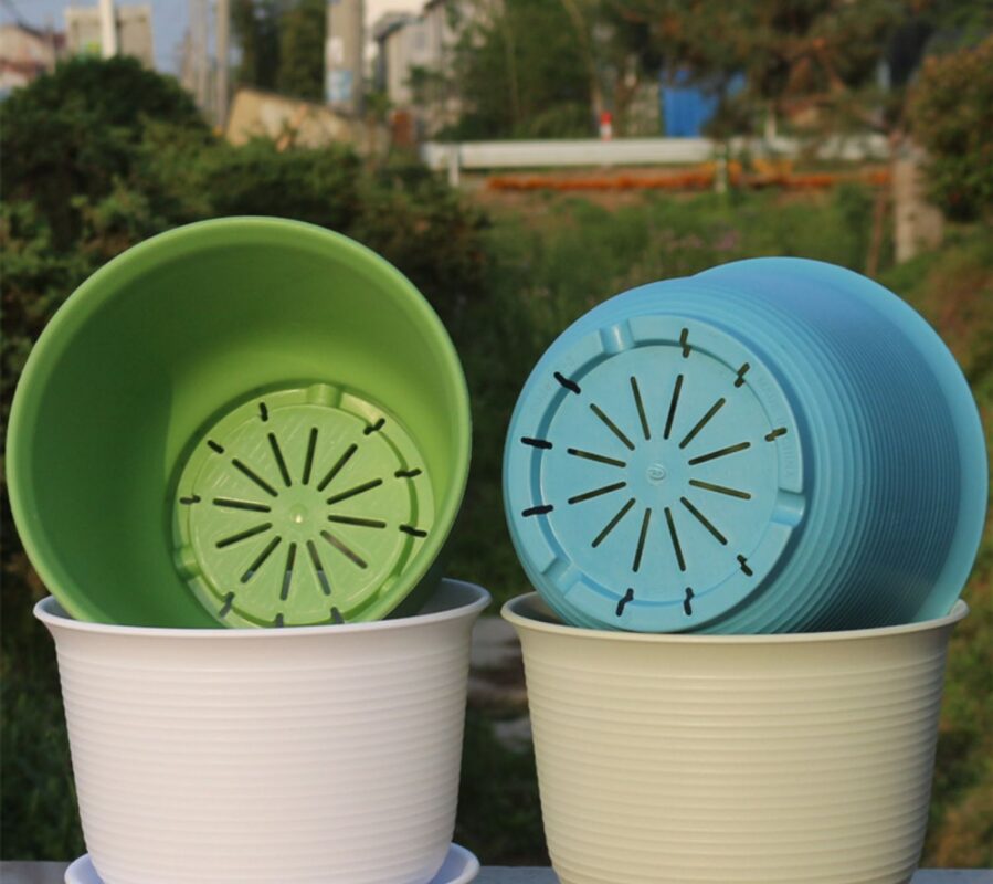 Chậu nhựa trồng hoa